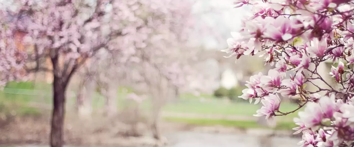 Institute of True Happiness - Psicoterapia Online e Desenvolvimento Pessoal