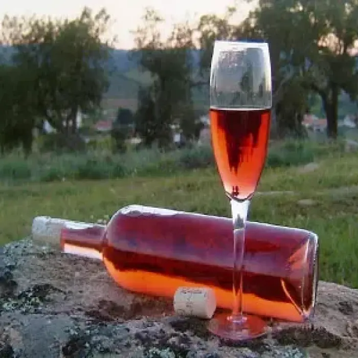 Quinta do Pinheiro: Vinhos e Azeites do Douro com Tradição, Sustentabilidade e Turismo Rural